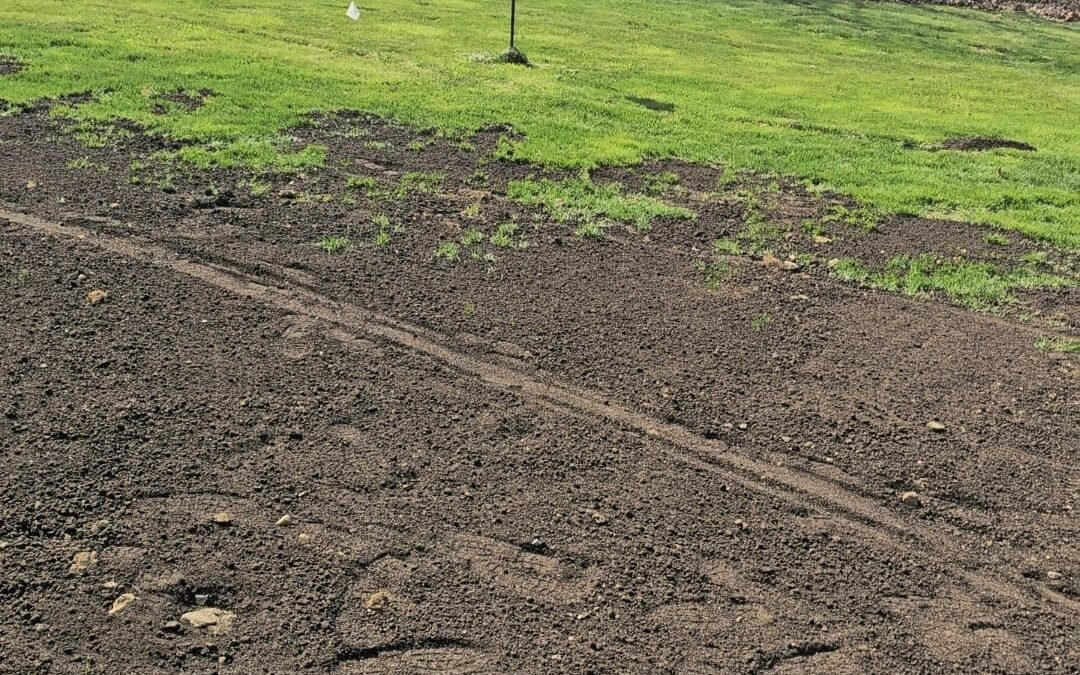 Lawn Repair Columbus – Tuff Green Lawn Care Service, LLC