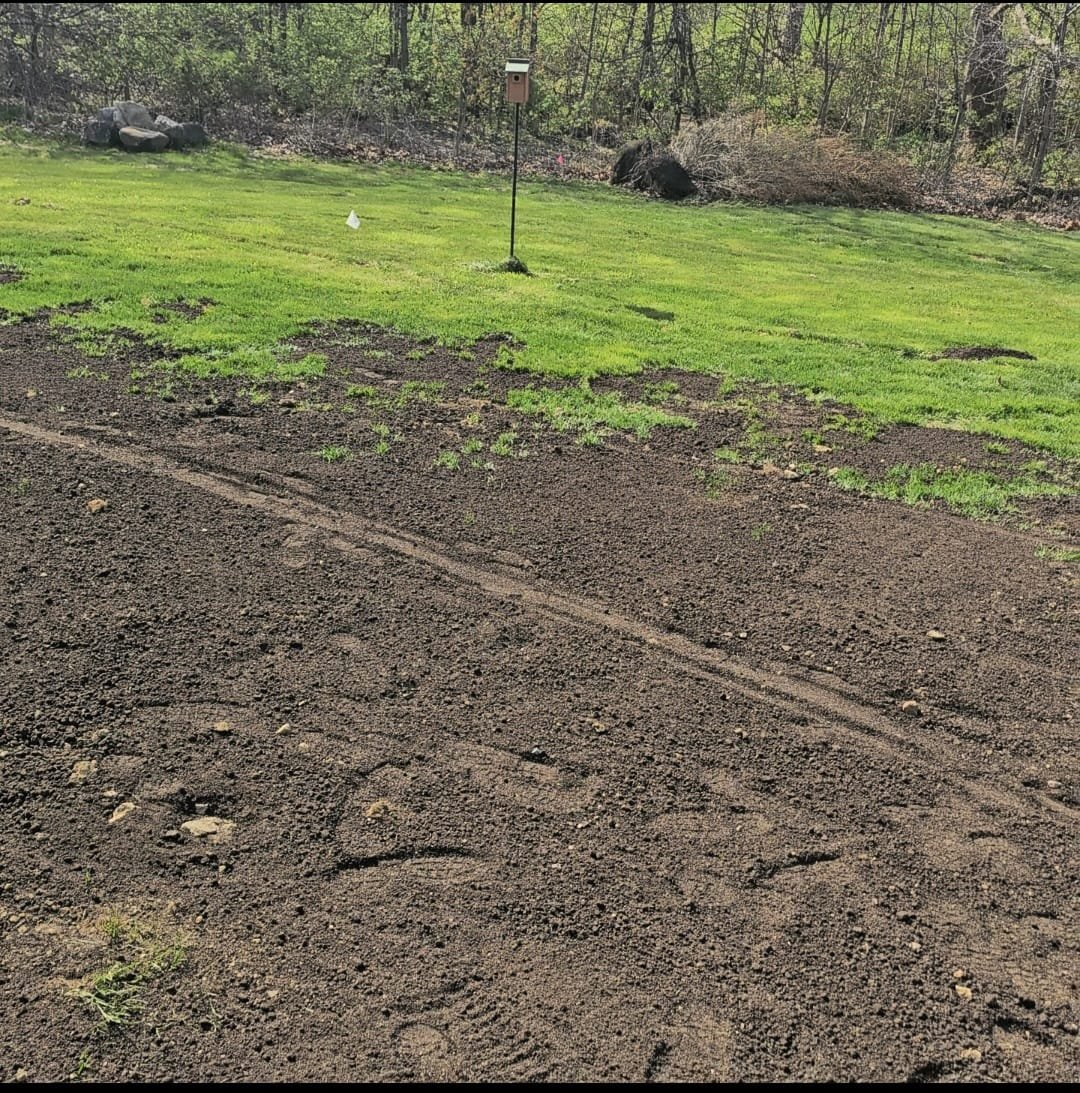 Lawn Repair Columbus – Tuff Green Lawn Care Service, LLC