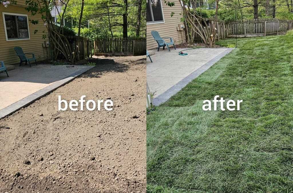 Lawn Repair Westerville – Get Your Lawn Back in Shape with Tuff Green Lawn Care