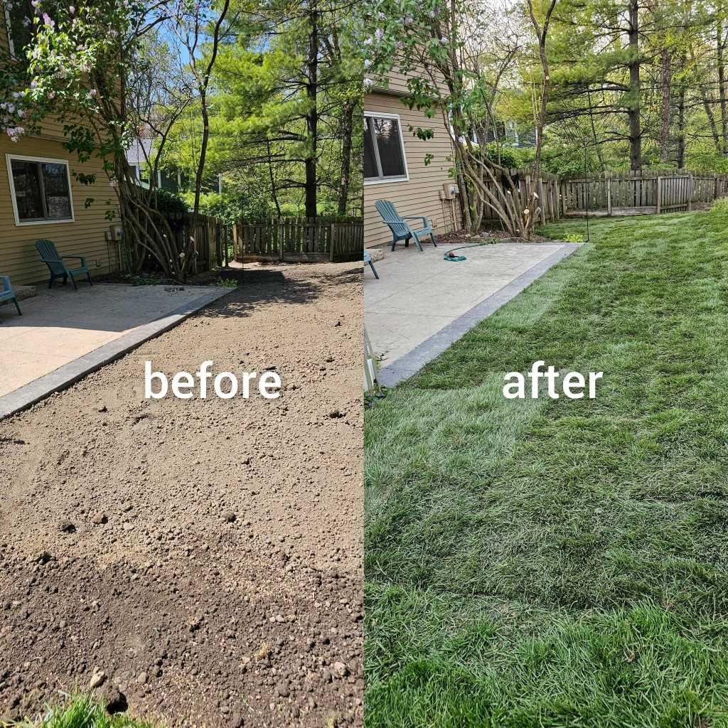 Lawn Repair Westerville – Get Your Lawn Back in Shape with Tuff Green Lawn Care