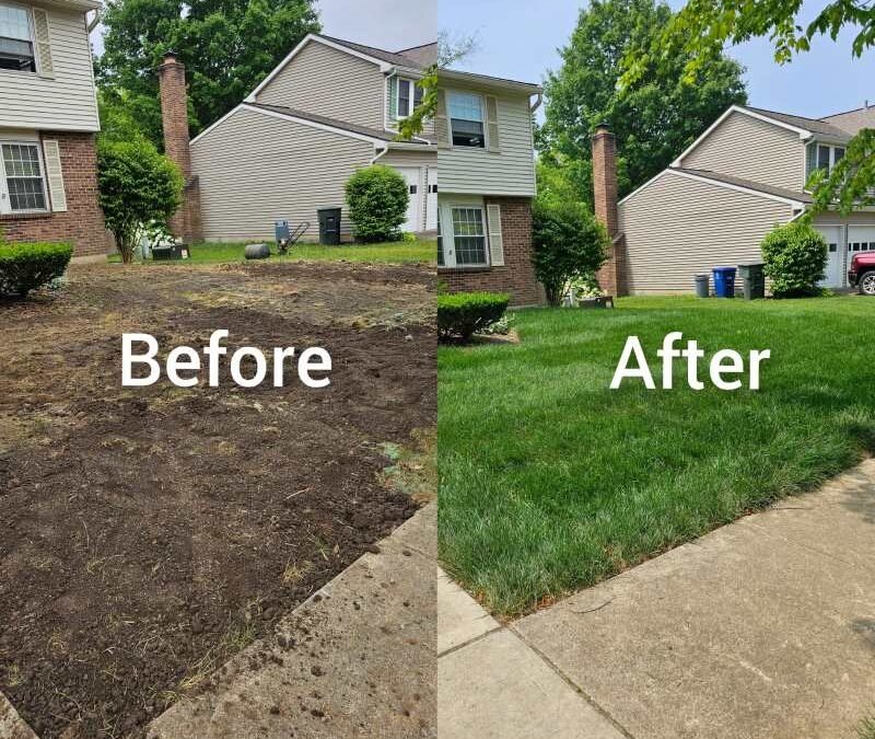 Lawn Repair Ohio – Restore Your Lawn with Tuff Green Lawn Care Service, LLC