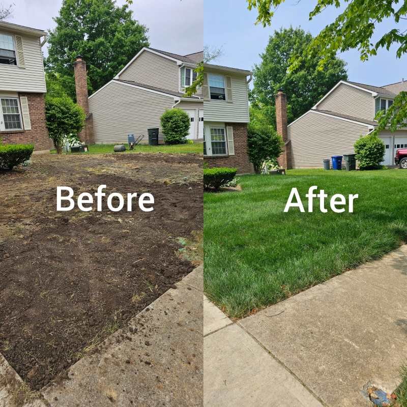 Lawn Repair Ohio – Restore Your Lawn with Tuff Green Lawn Care Service, LLC