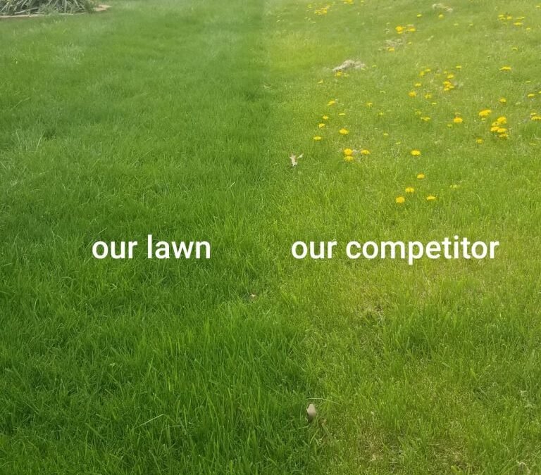 Lawn Renovation Columbus – Transform Your Lawn with Tuff Green Lawn Care Service, LLC
