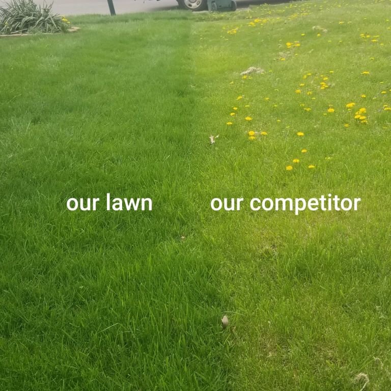 Lawn Renovation Columbus – Transform Your Lawn with Tuff Green Lawn Care Service, LLC